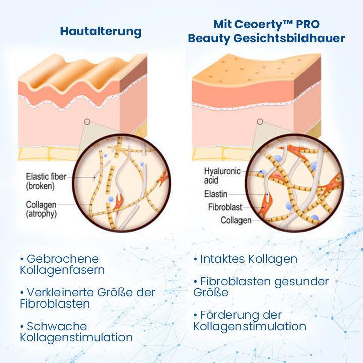 Ceoerty™ PRO Beauty Gesichtsbildhauer