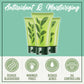 Green Tea Clarifying Cleansing Foam