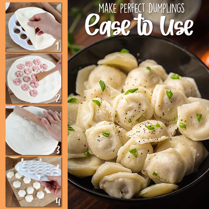 Easy Dumpling Mold
