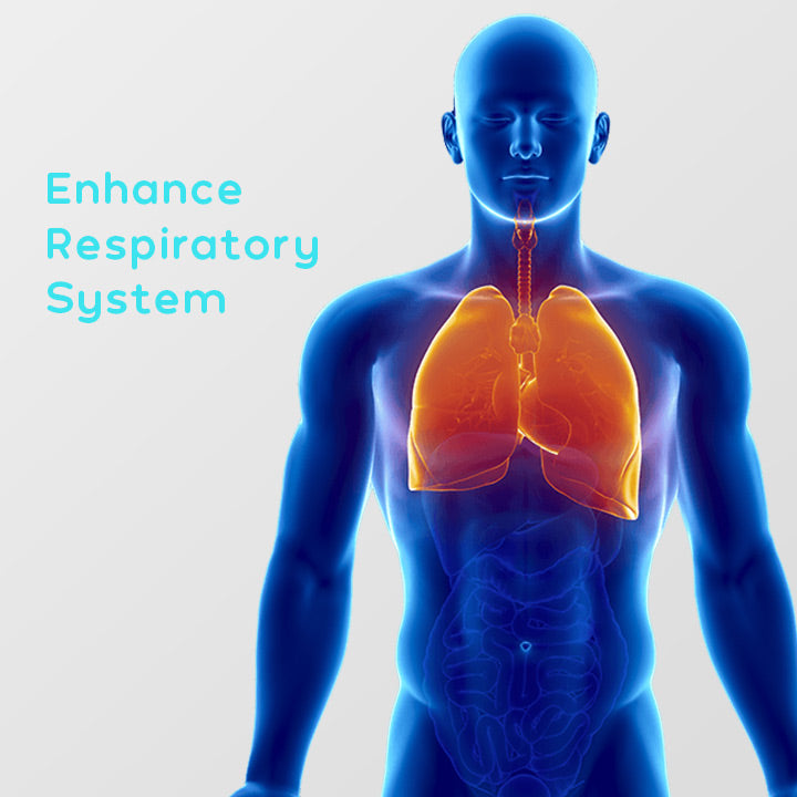 BREATHERAPY™ Body Detoxifying Nasal Stick