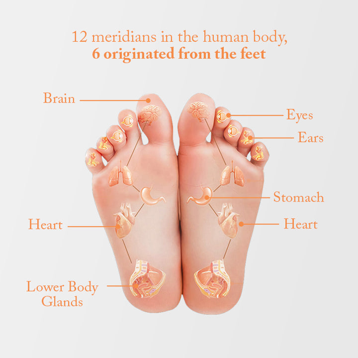 Anti-Cellulite Heating Ginger Foot Patch
