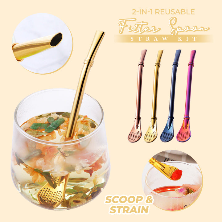 2-in-1 Reusable Filter Spoon Straw Kit