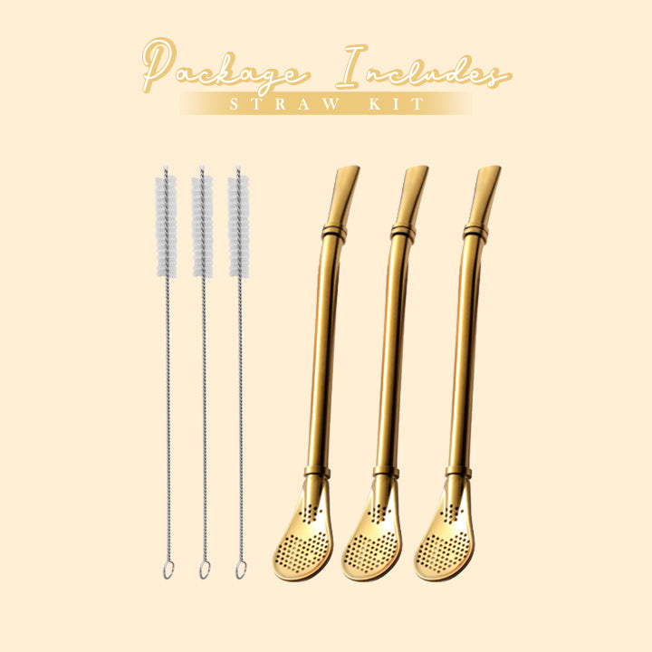 2-in-1 Reusable Filter Spoon Straw Kit