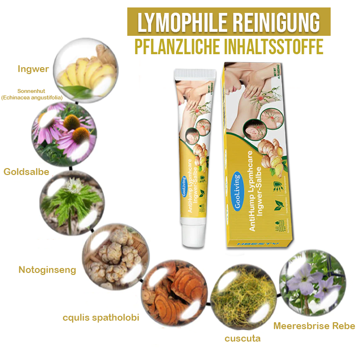 GooLiving AntiHump Lymphcare Ingwer-Salbe