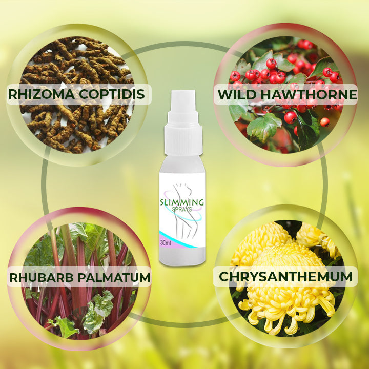 Dermisol™ Instant Firming Cellulite Reducing Spray