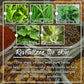 Herbal Detox Face & Body Mask