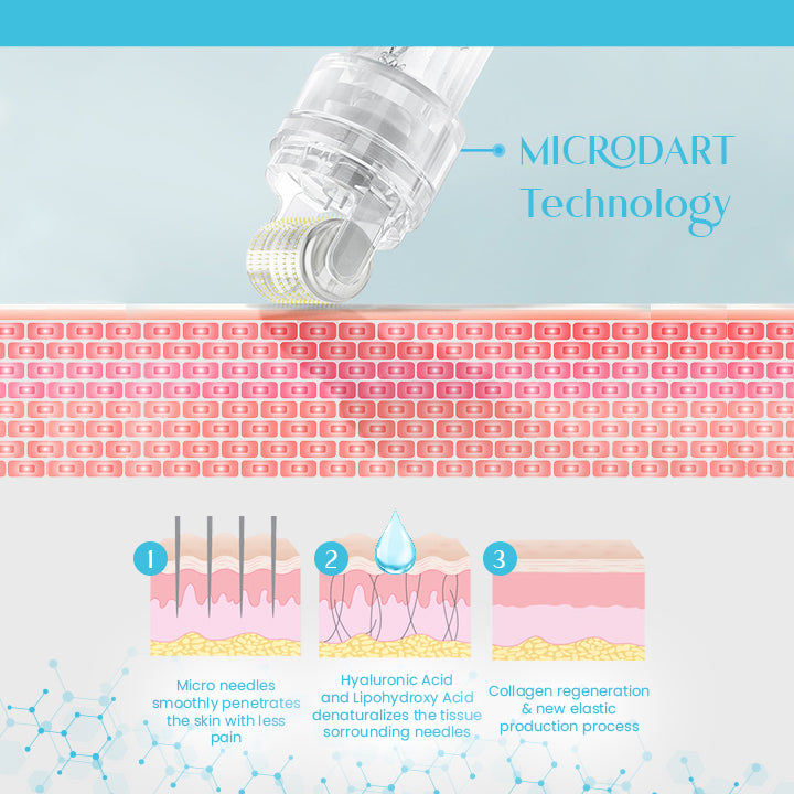 HyaluFix ™ Pockmark Heal Microdart Roller