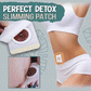 Perfect Detox Slimming Patch