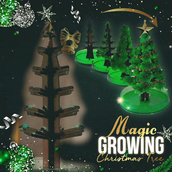 Magic Growing Christmas Tree