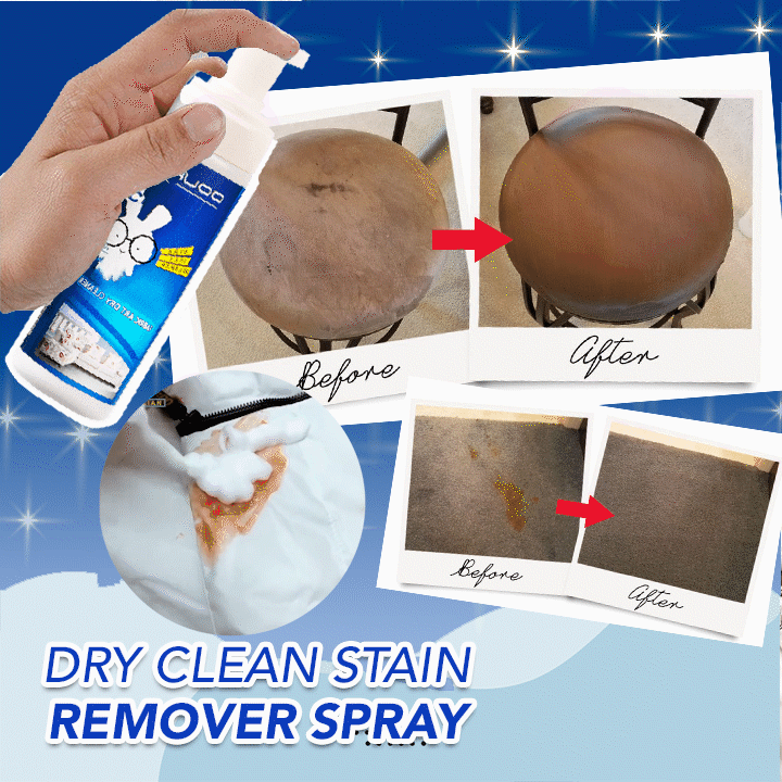 Dry Clean Stain Remover Spray