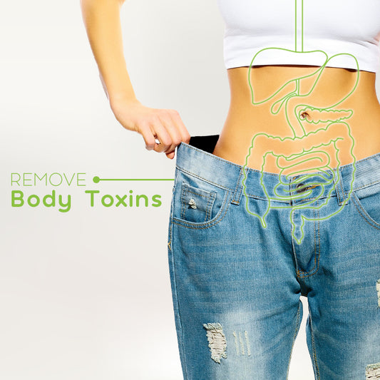 NatureHerb™ Body Detox Pads