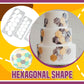 Patisserie™ Geometric Cake Decor Cutter
