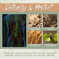 Herbal Detox Foot Soak Pack
